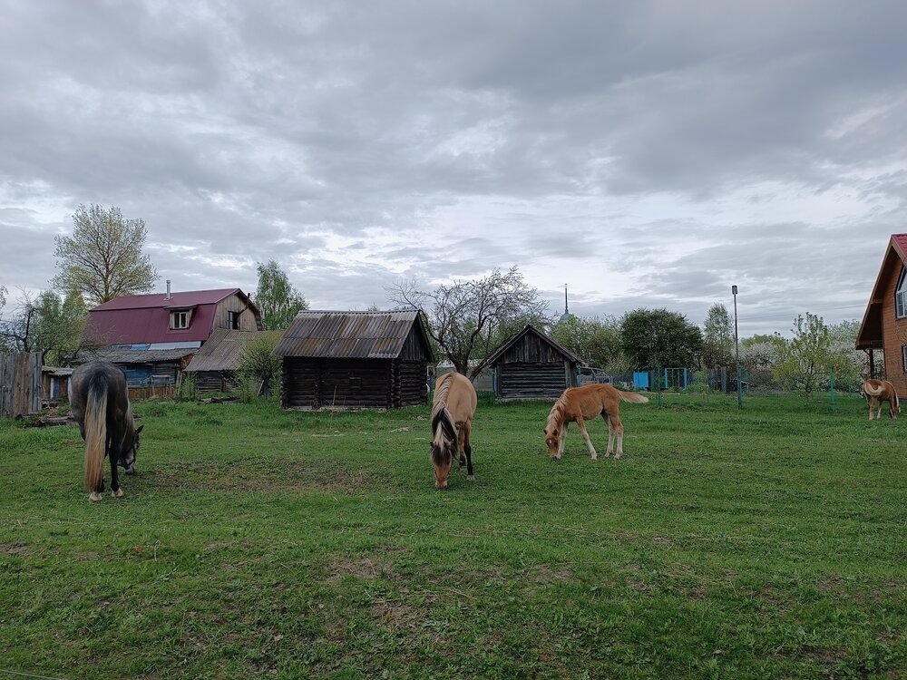 Photograph by Крайнова Татьяна