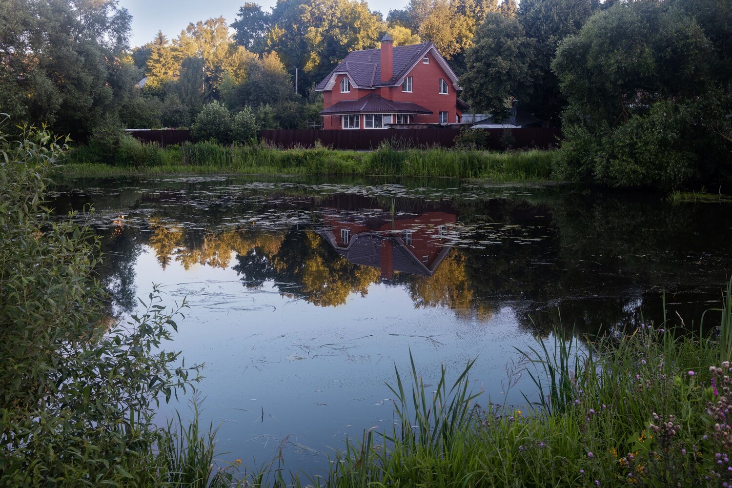 Photo #13829571