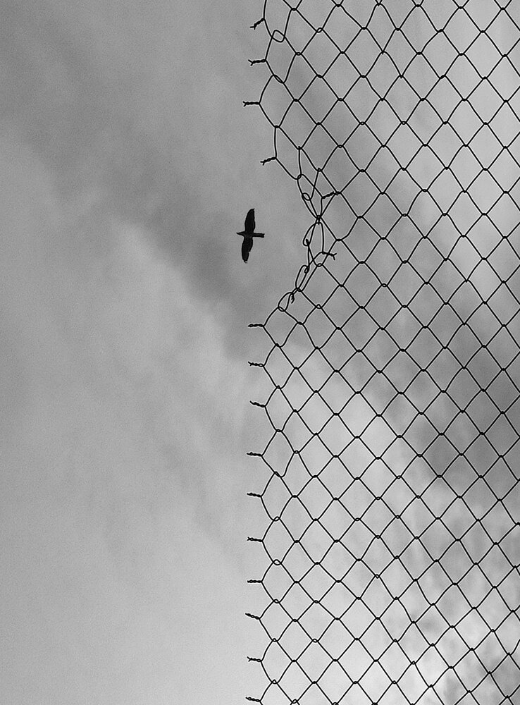 Photograph by Elaheh Moussavi Kiassari