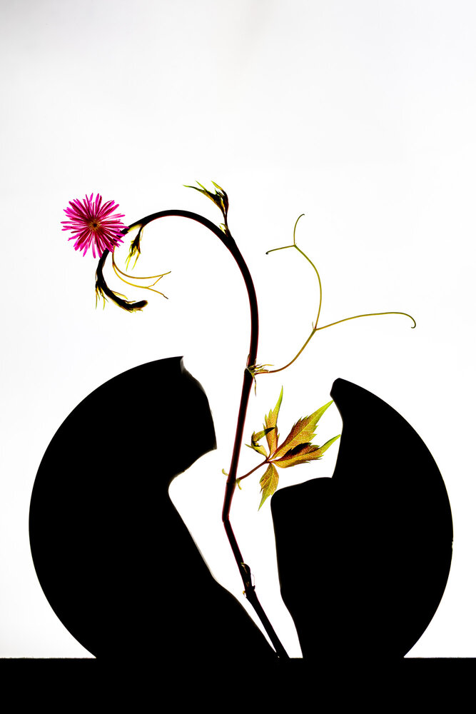 Photograph by Людмила Аксенова