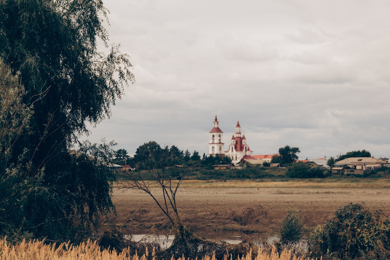 Photo #13829652