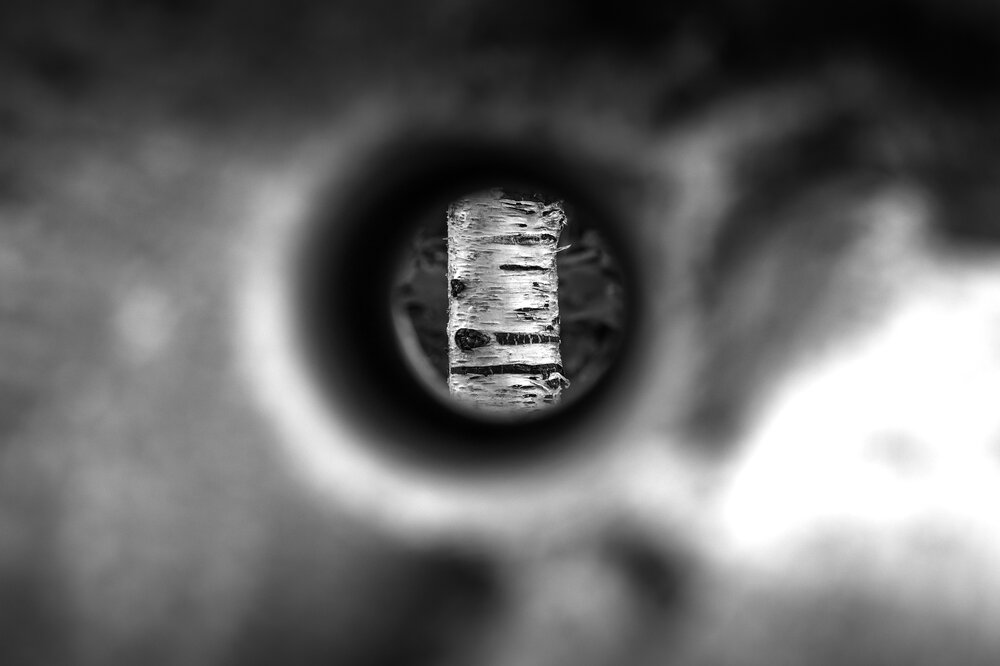 Photograph by Иван Куликов