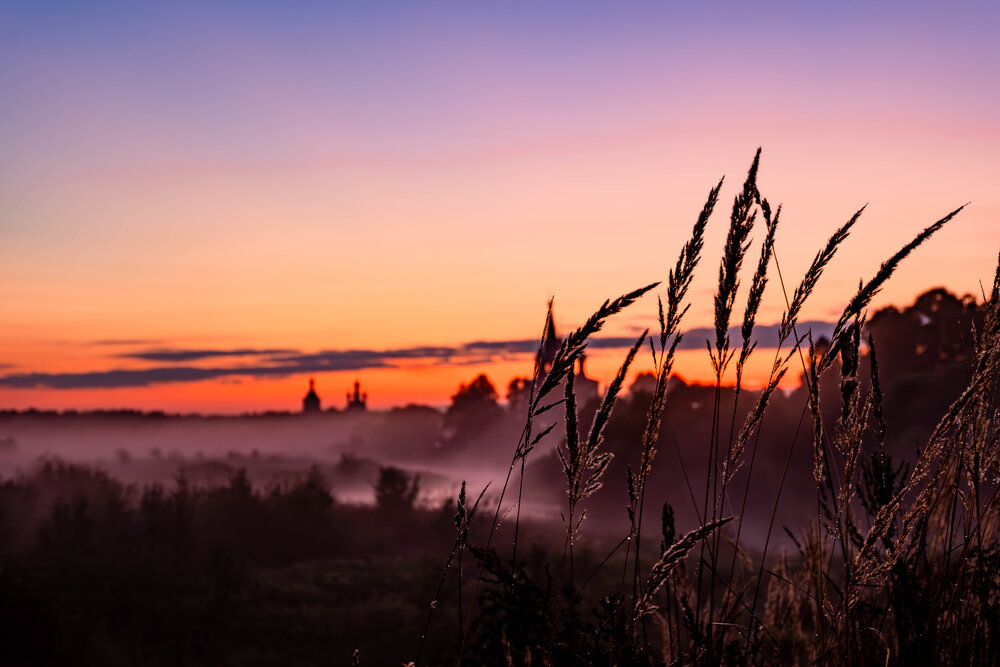 Photograph by Alise Inast