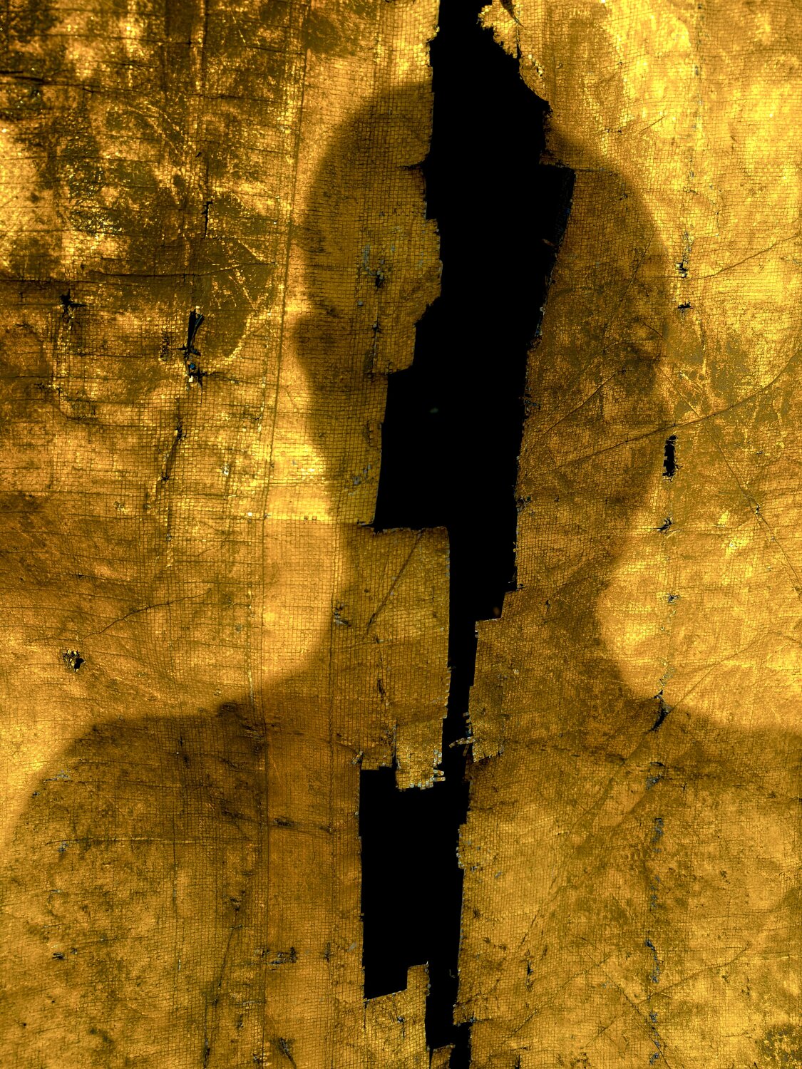 Shade of life