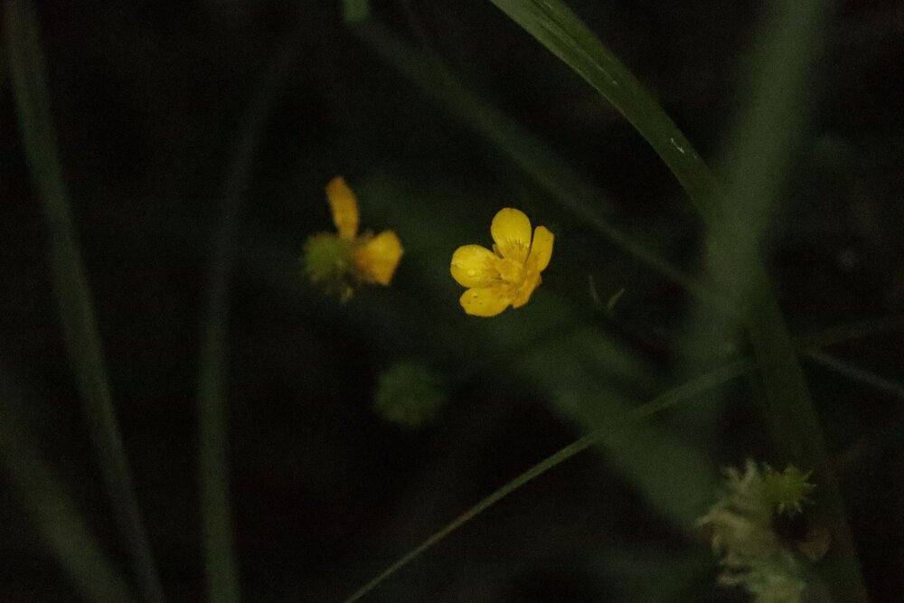Photograph by Екатерина Александровна