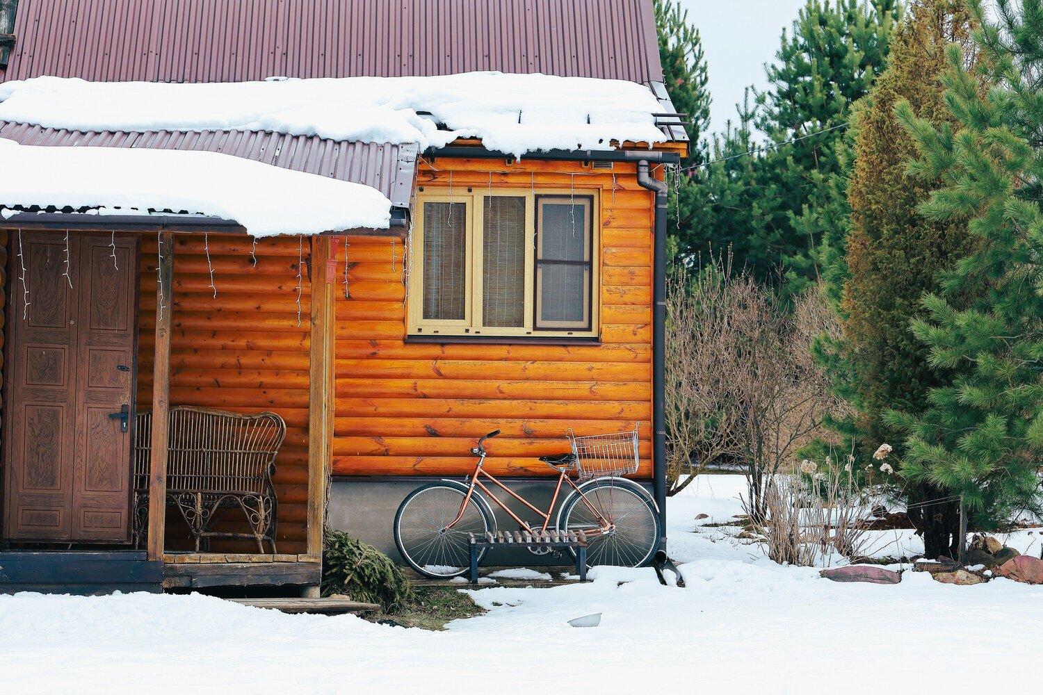 Photo #13829957