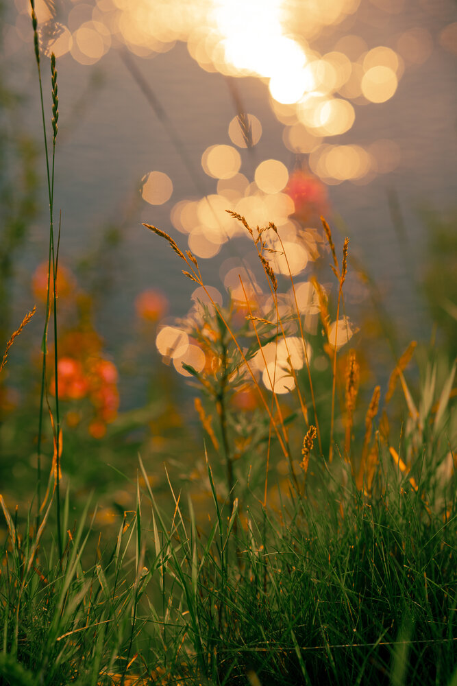 Photograph by Мария Шишкина