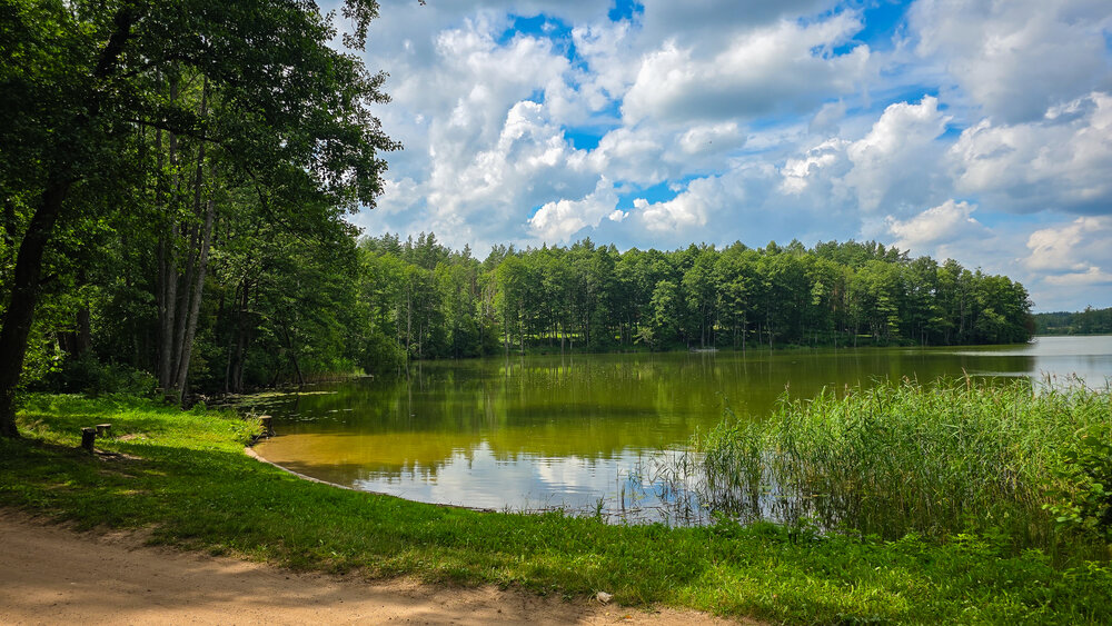 Фотография автора Aidas