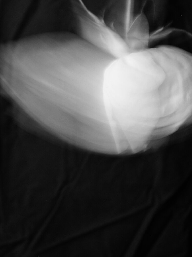 Photograph by Kolotova Irina