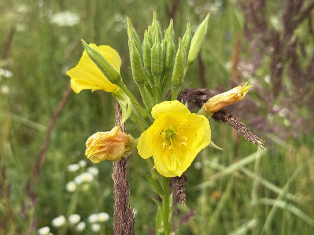 Photograph by Ольга Бородкина