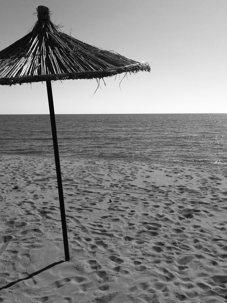 Photograph by Kolotova Irina