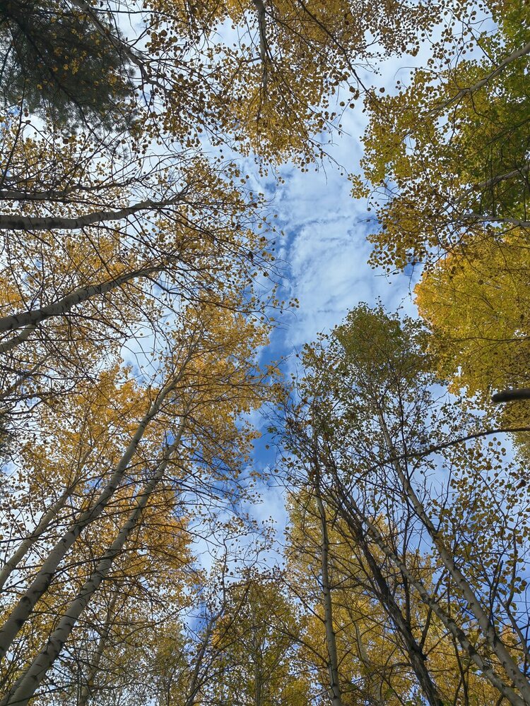 Photograph by Сергей Анохин