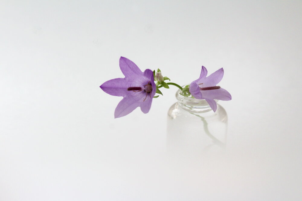 Photograph by Сироткина Нина