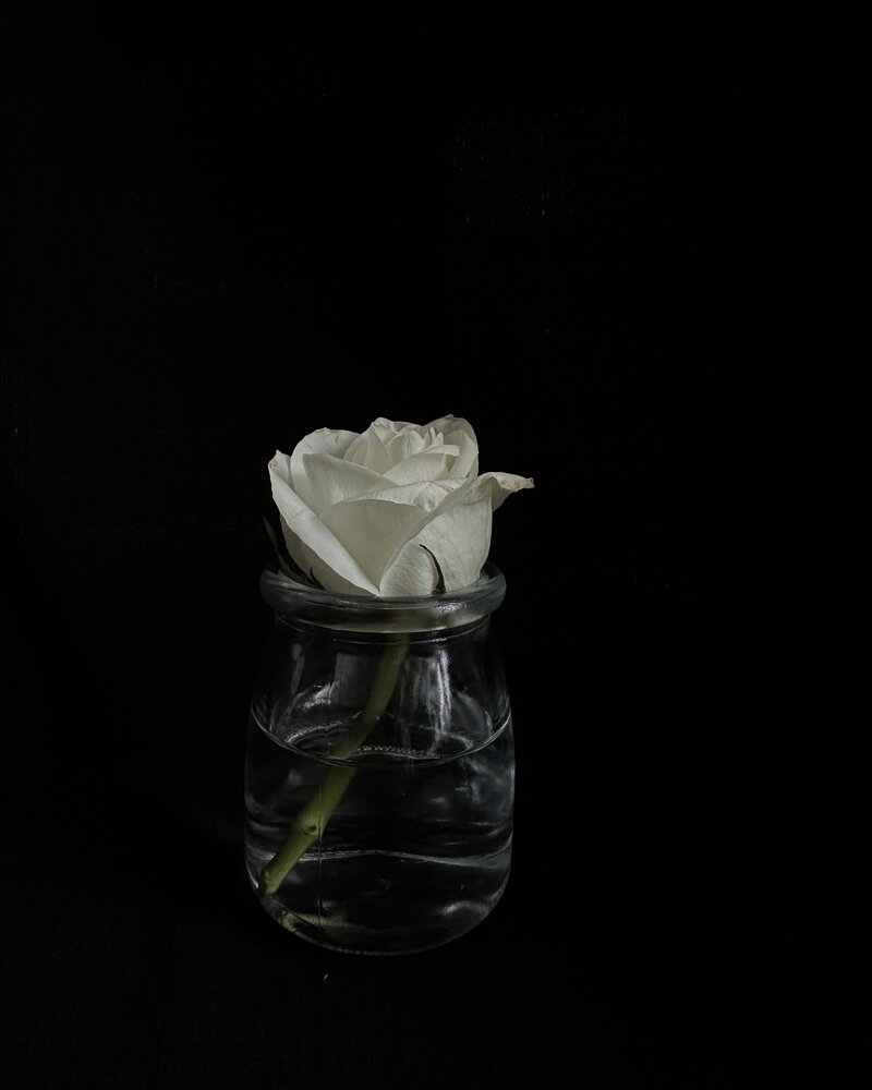 Photograph by Kolotova Irina