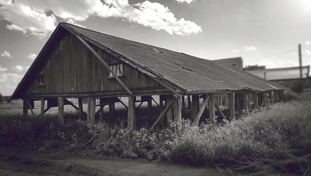 Photograph by Диана Токаревич
