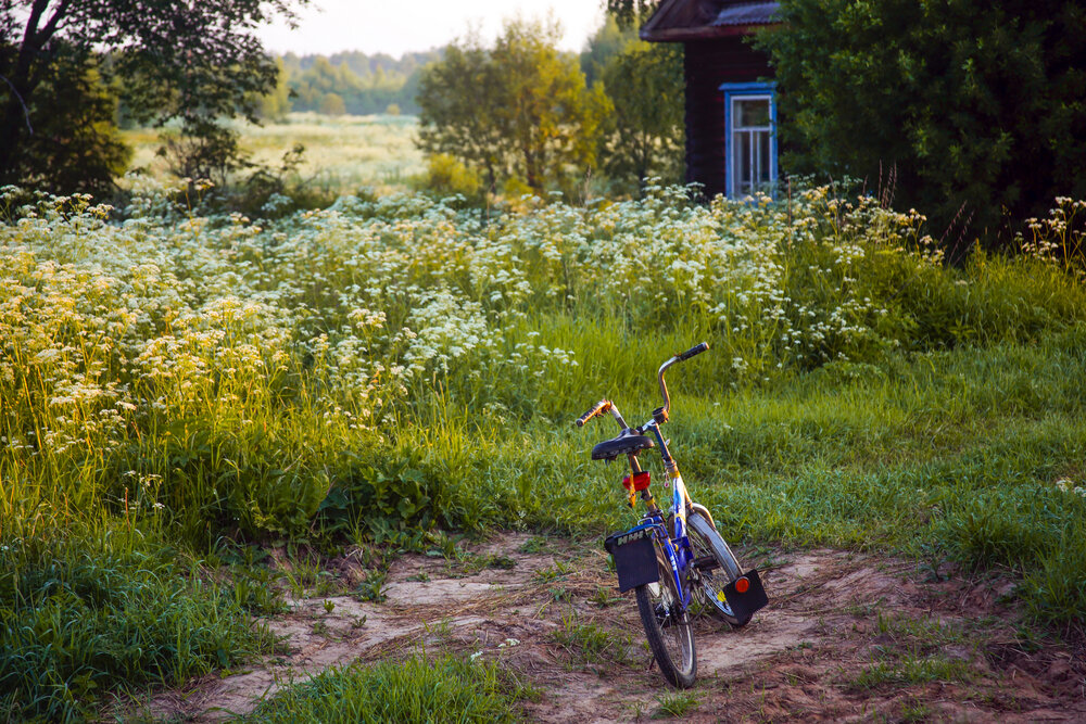Photograph by Мурзинов Виктор