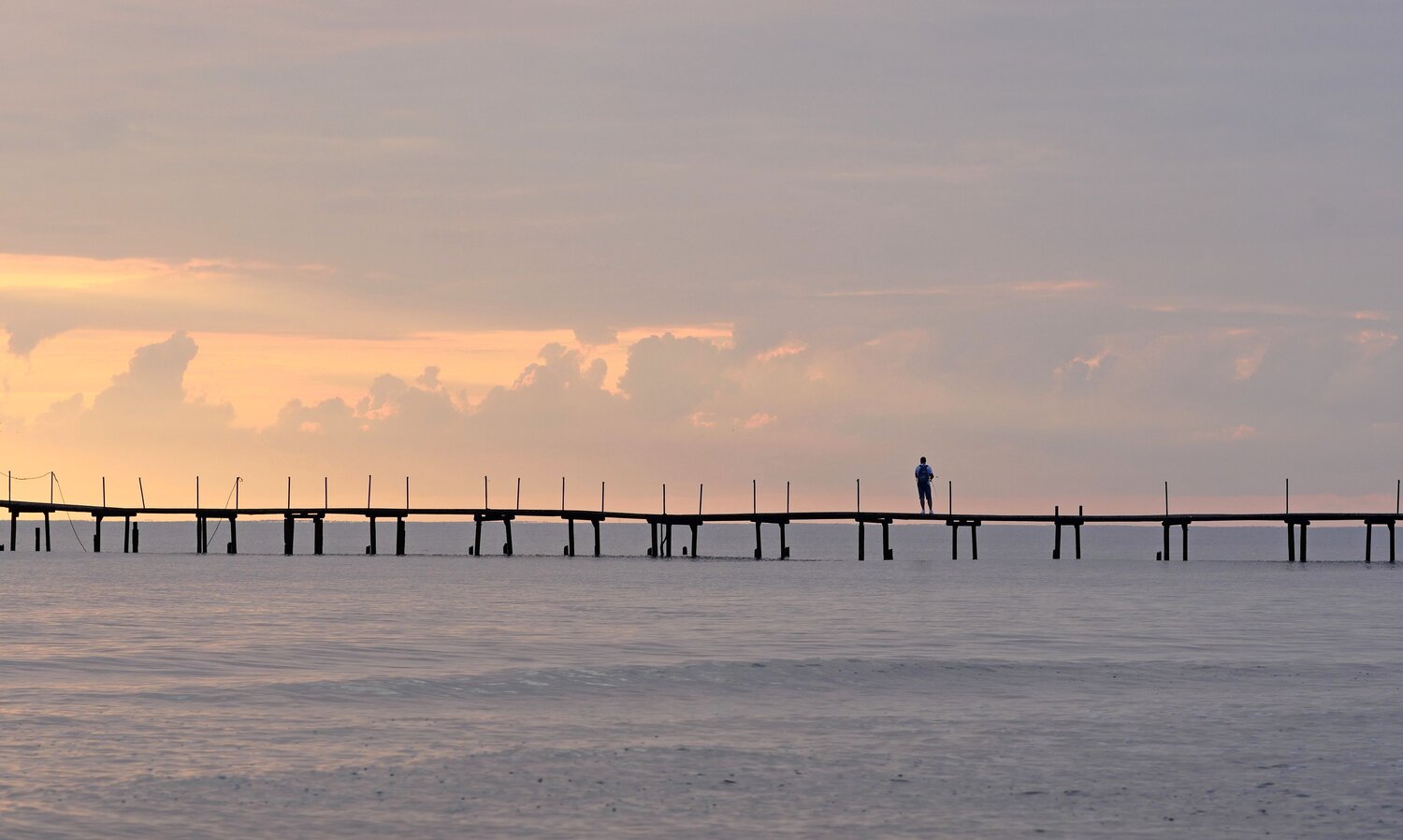 Photo #13830243