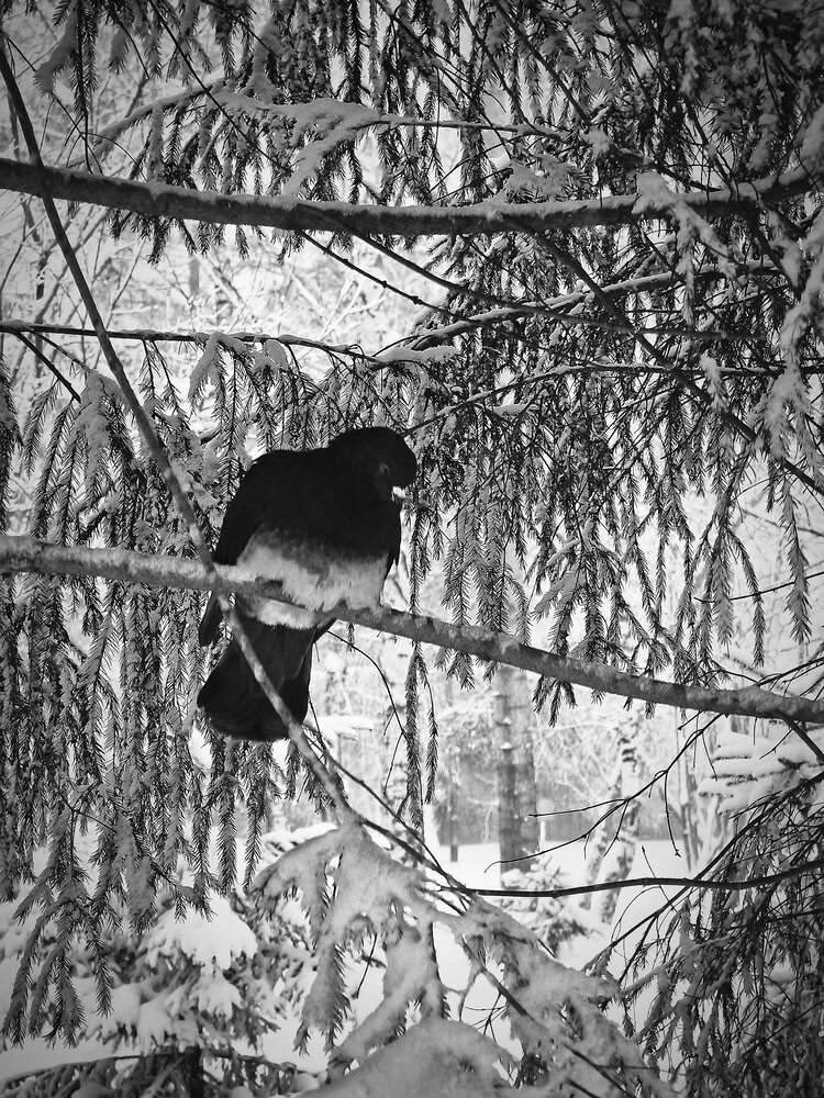 Photograph by Olena Chertous