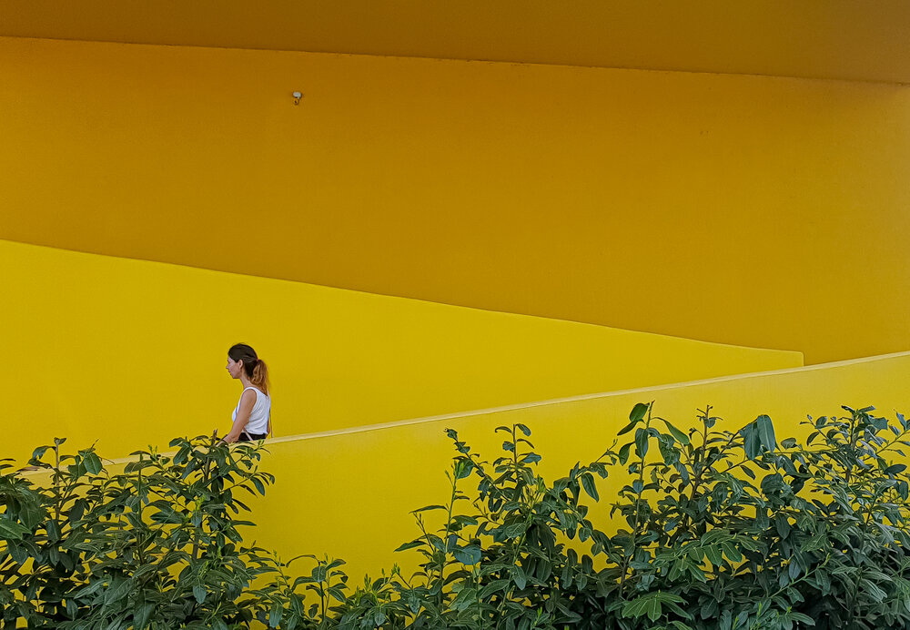In Yellow