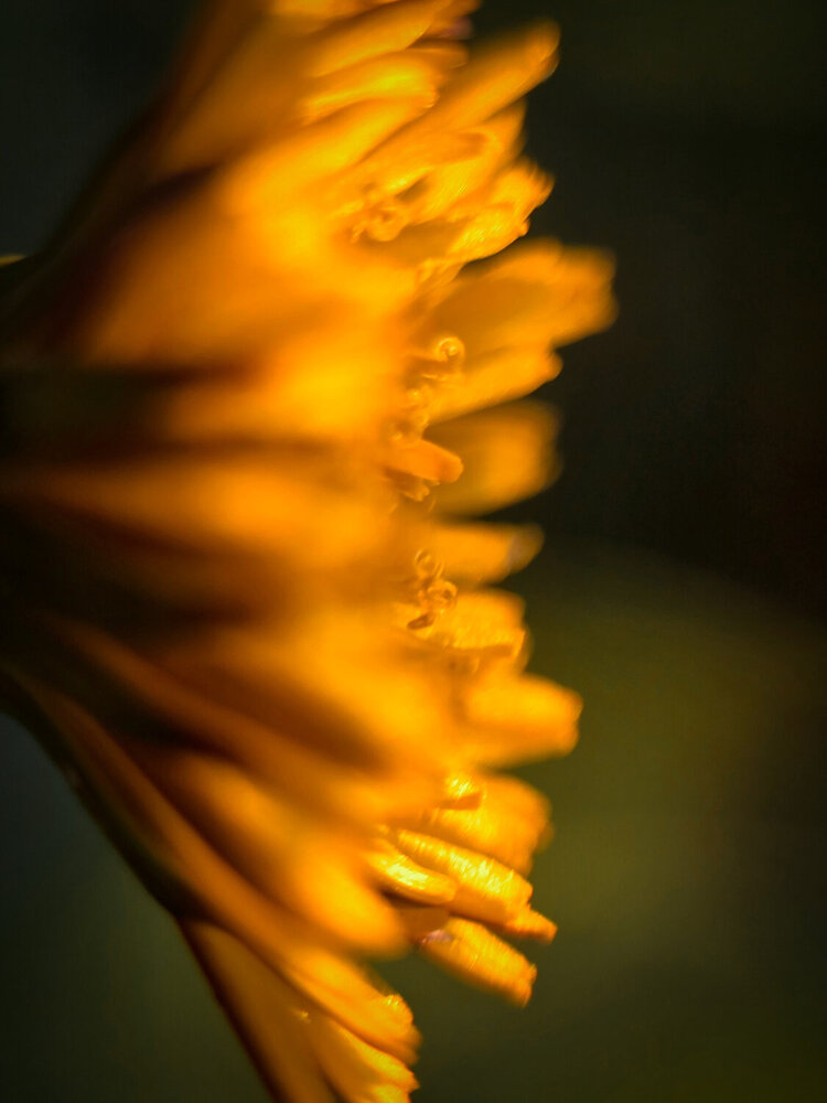 Photograph by Ирина Хлебникова