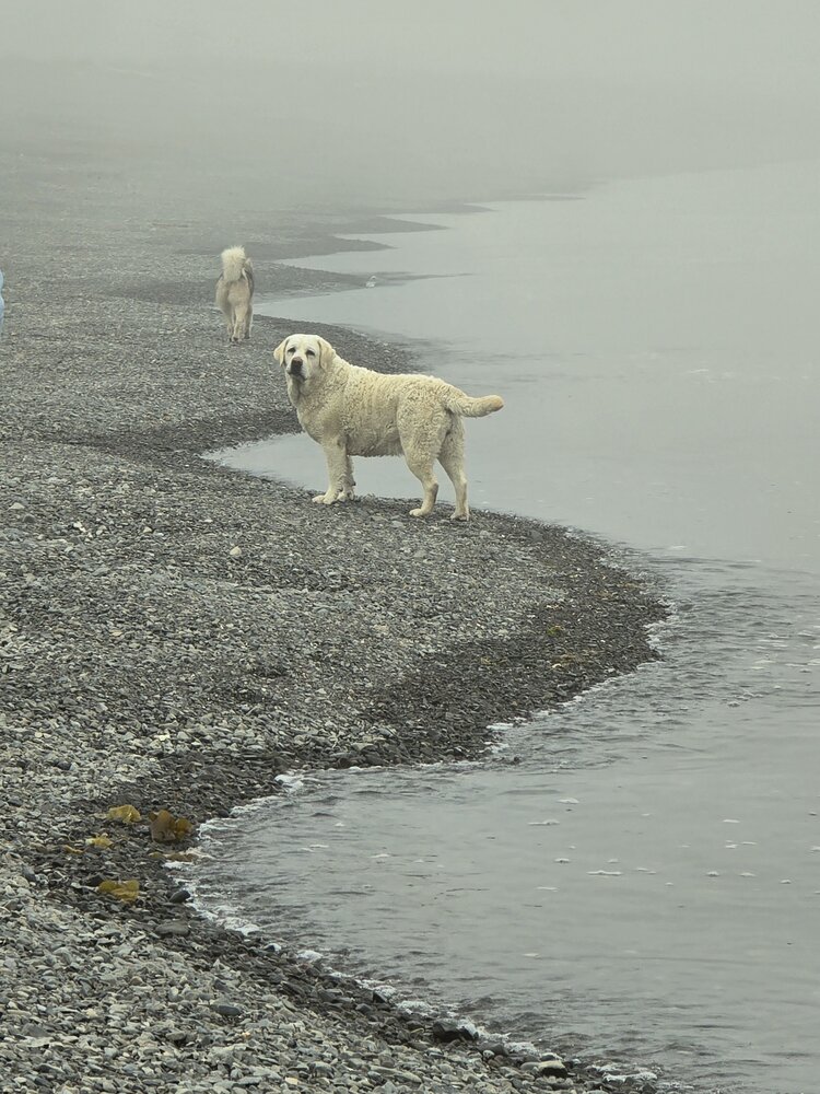 Photograph by Ирина Хлебникова