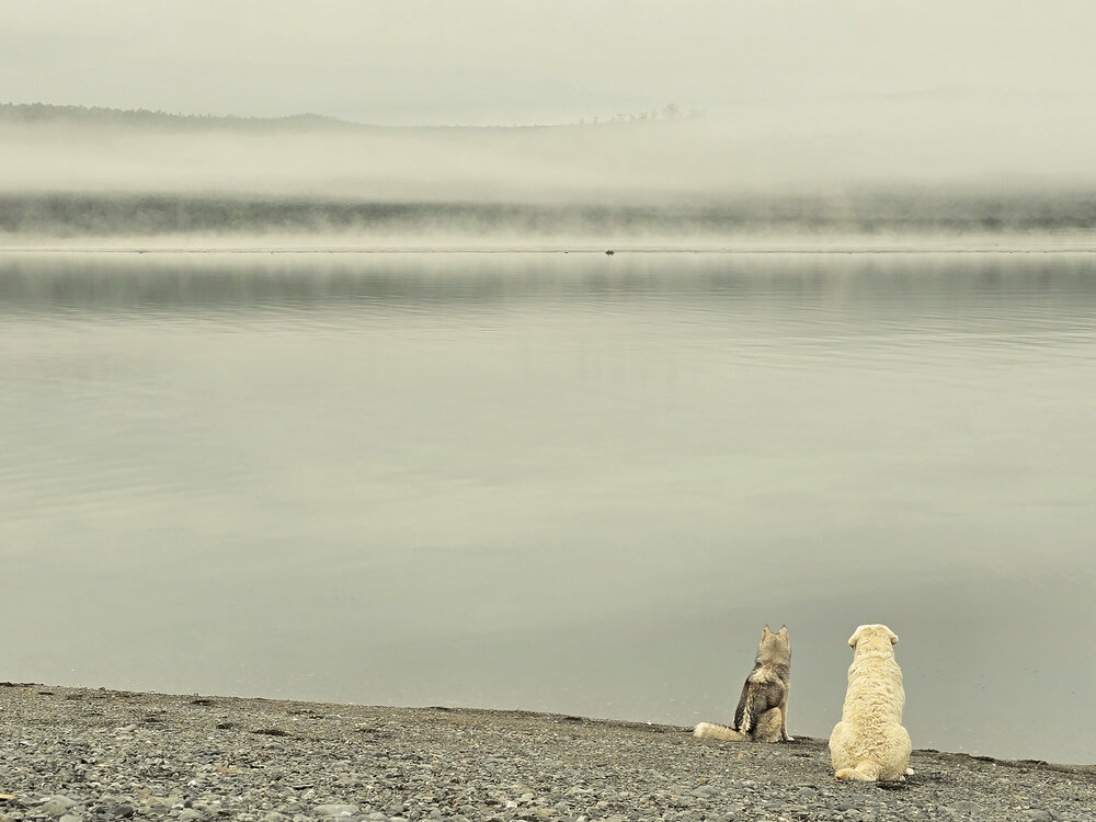 Photograph by Ирина Хлебникова