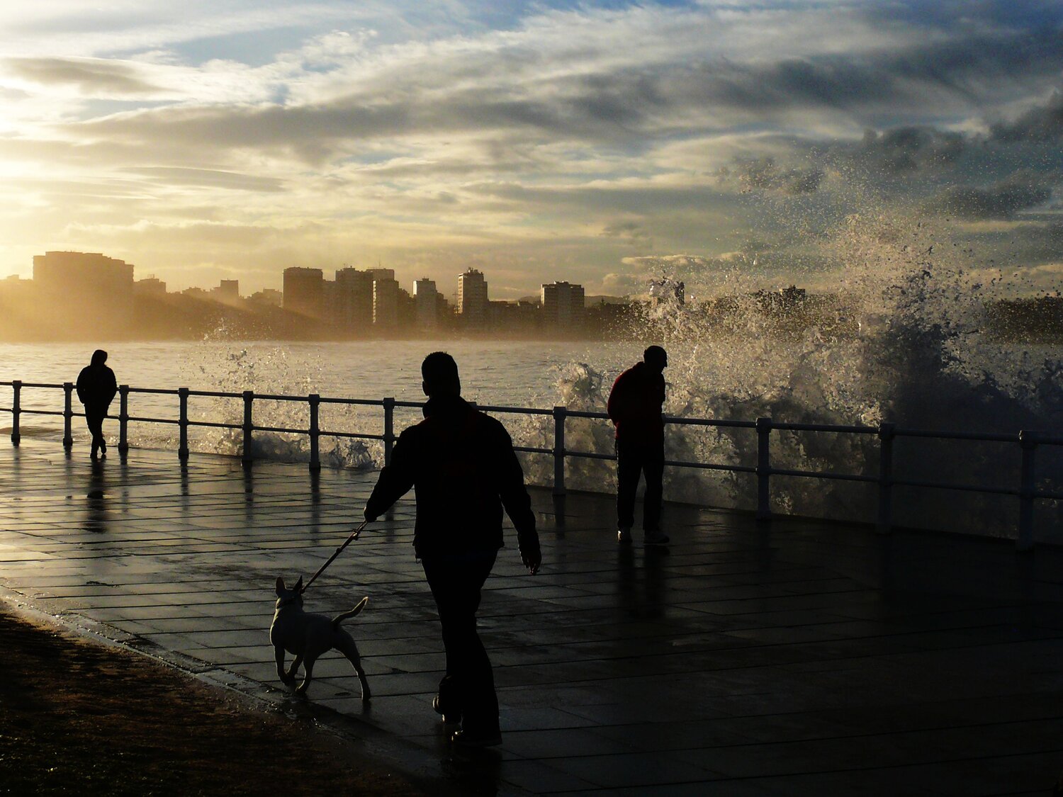 Photo #13830416
