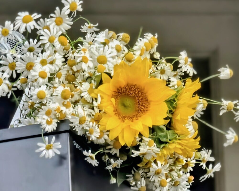 Photograph by Людмила Локтионова