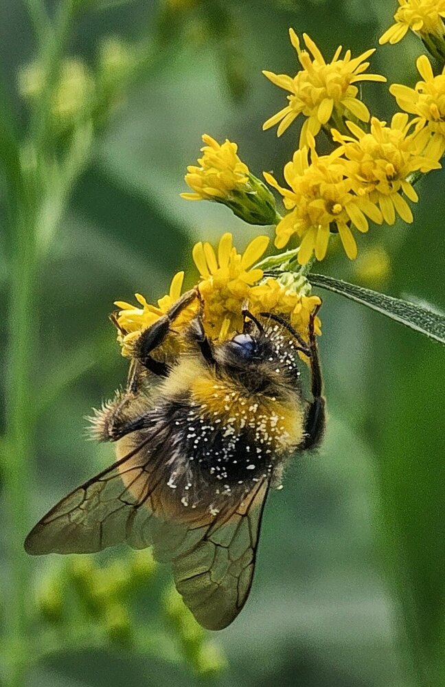 Photograph by Людмила Локтионова
