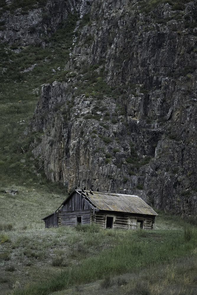 Photo #13830468