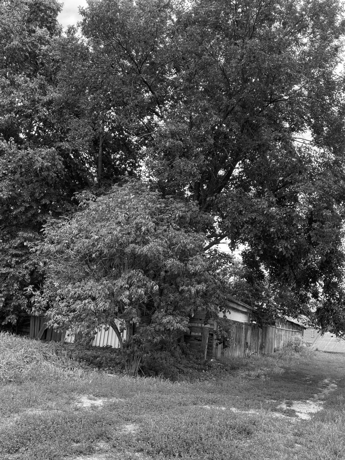 Photo #13830492