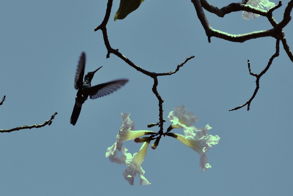 Photograph by Andria Hernández Ruiz