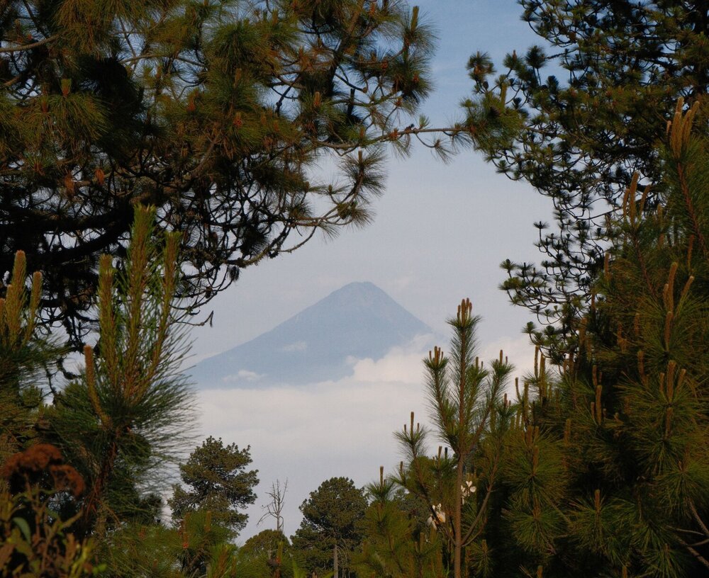 Photograph by Gustavo Orellana