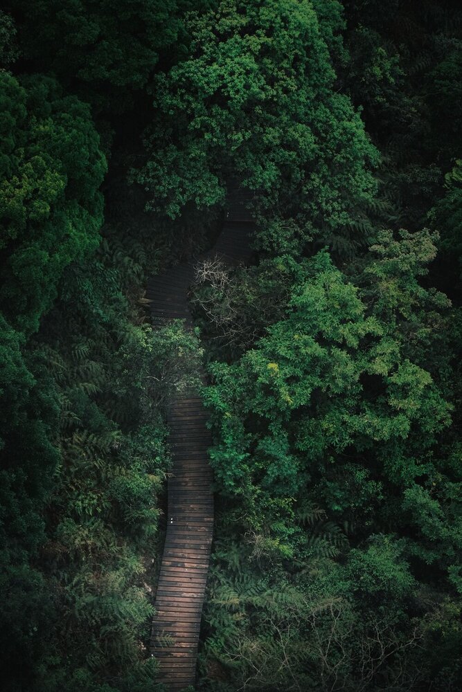 Photograph by Gustavo Orellana