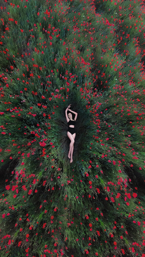 Photograph by Екатерина Подлегаева