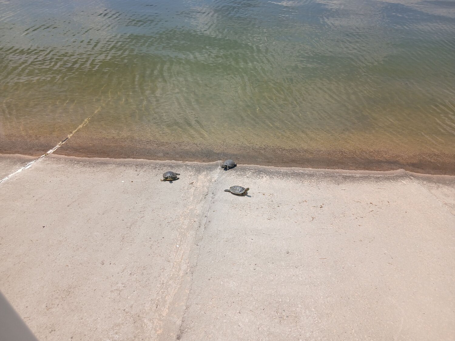 Photo #13830573