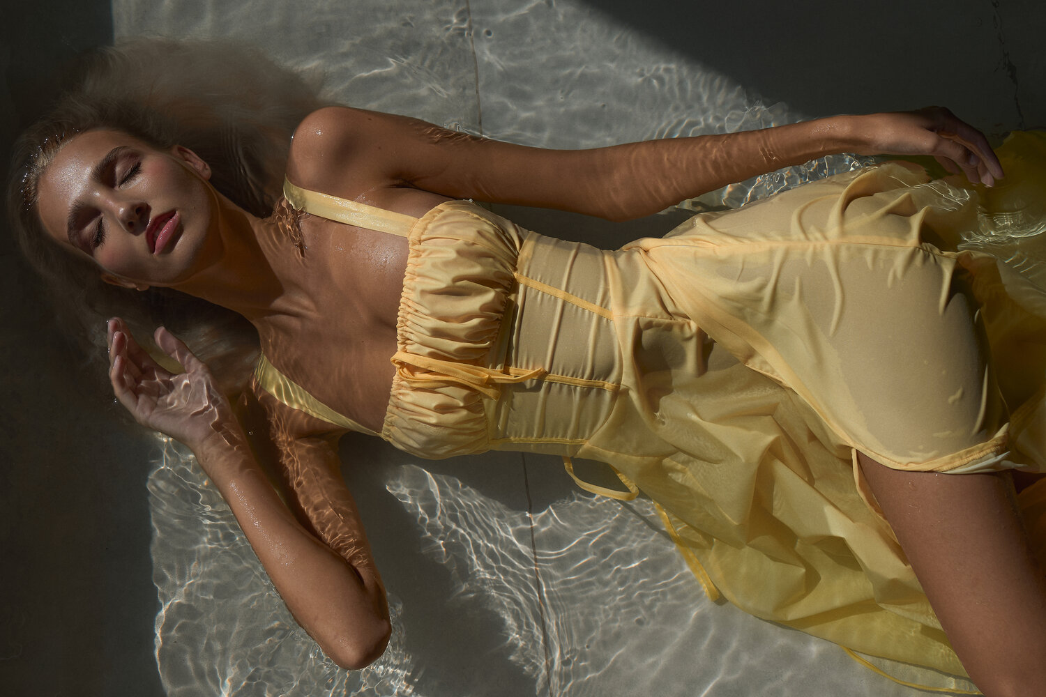 Photo #13830585