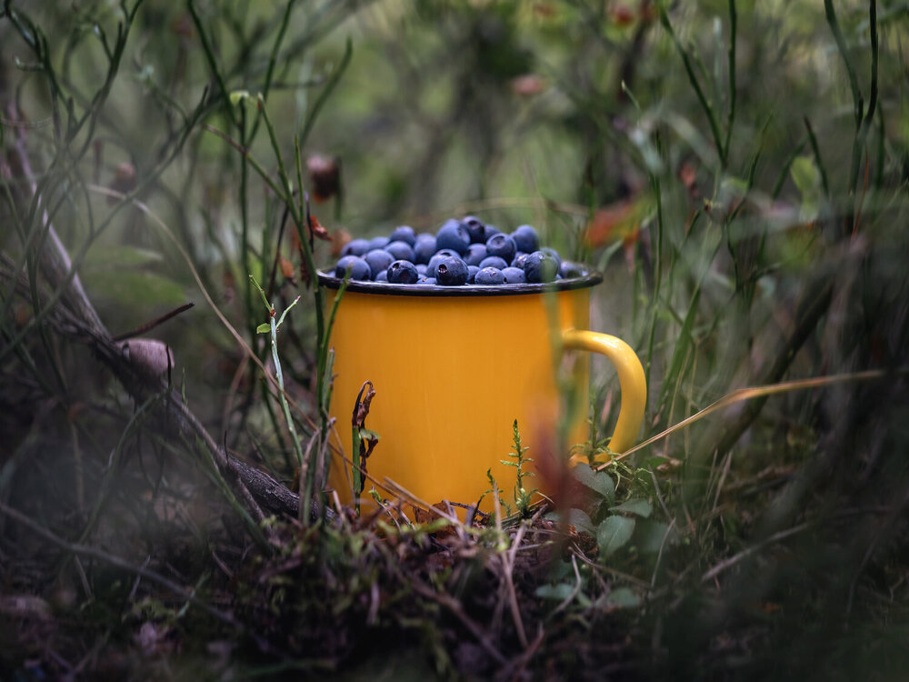 Photograph by Людмила Завьялова