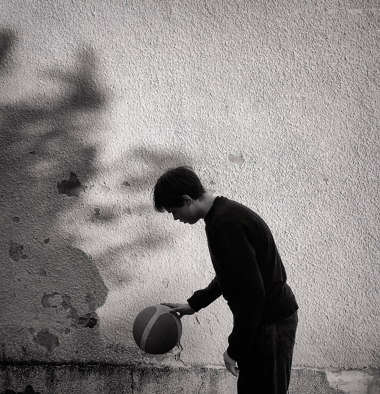 Photo #13830652