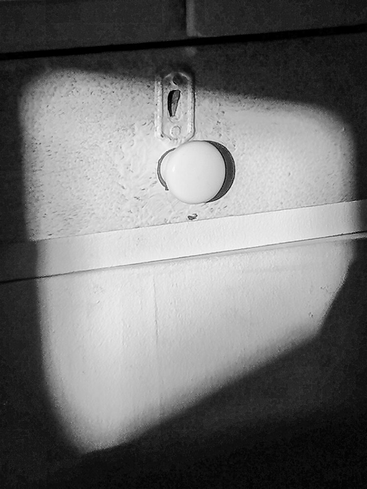 Photo #13830655