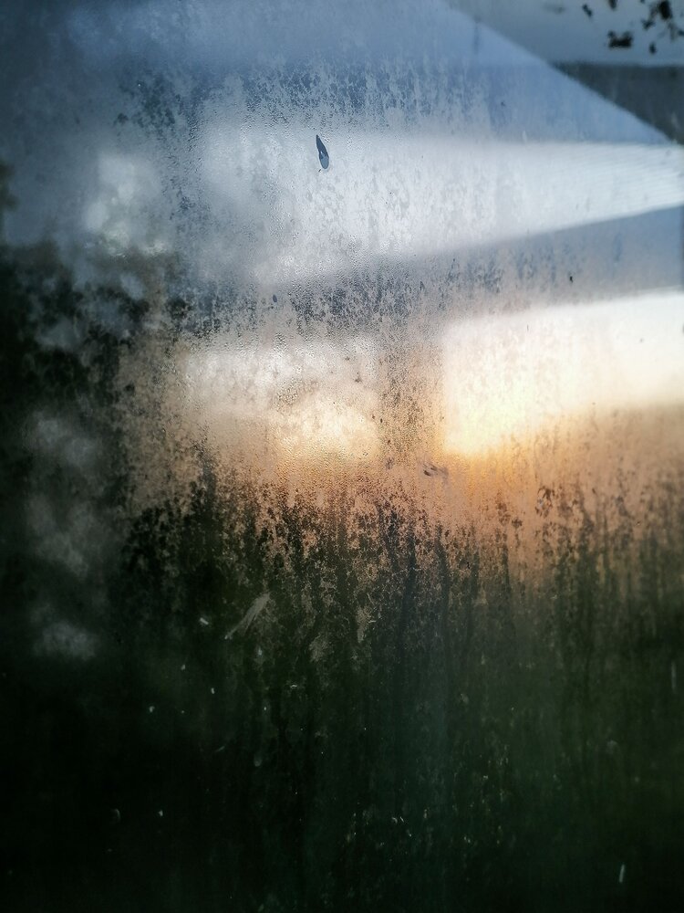 Photo #13830657