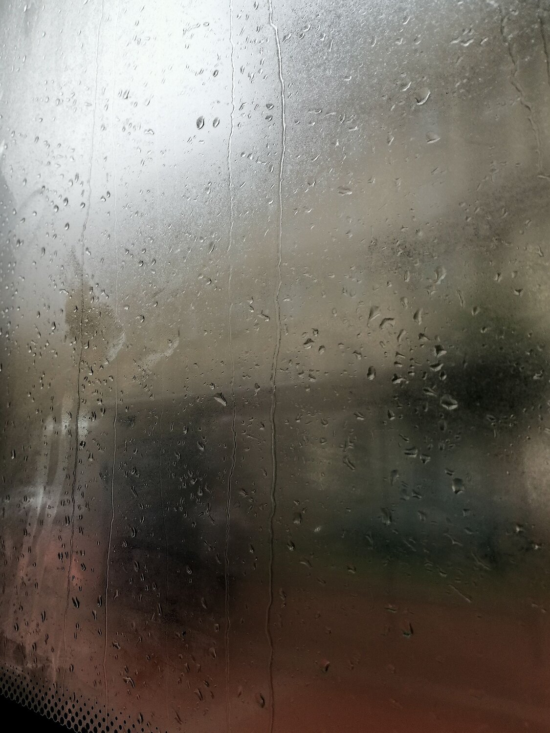 Photo #13830658