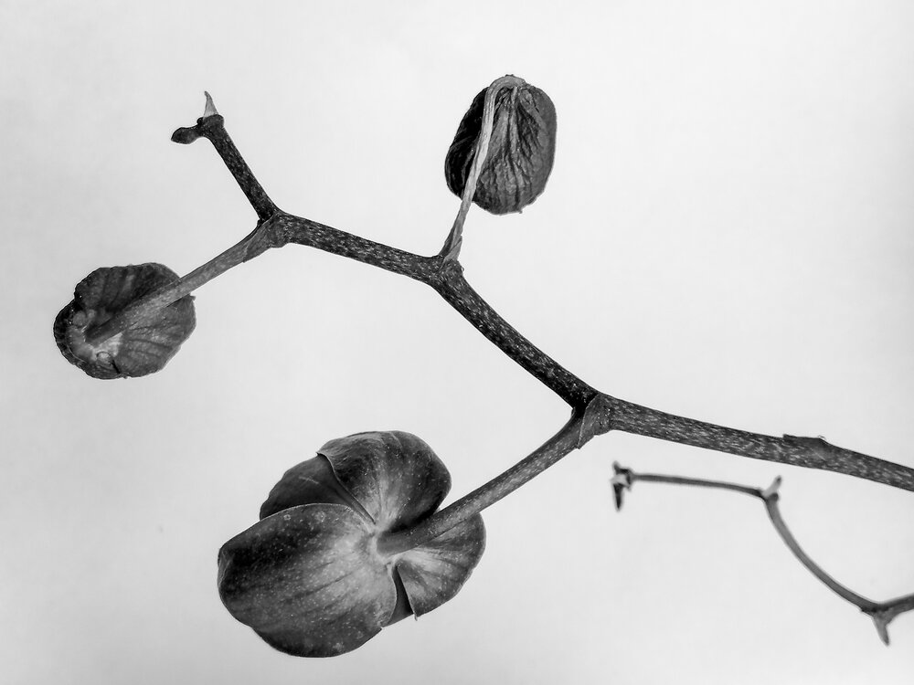 Photograph by Наталья Буталова