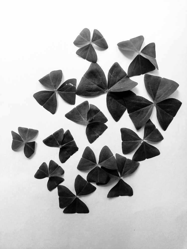 Photograph by Наталья Буталова