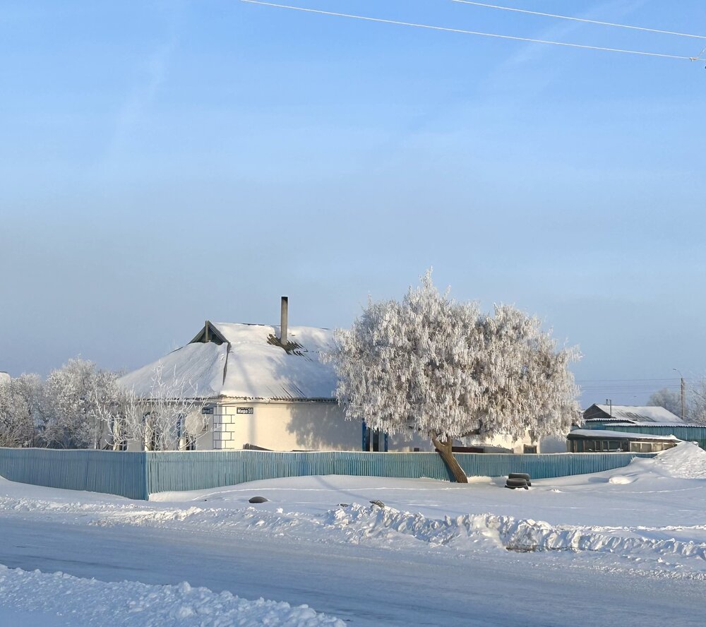 Фотография автора Анар Амирова