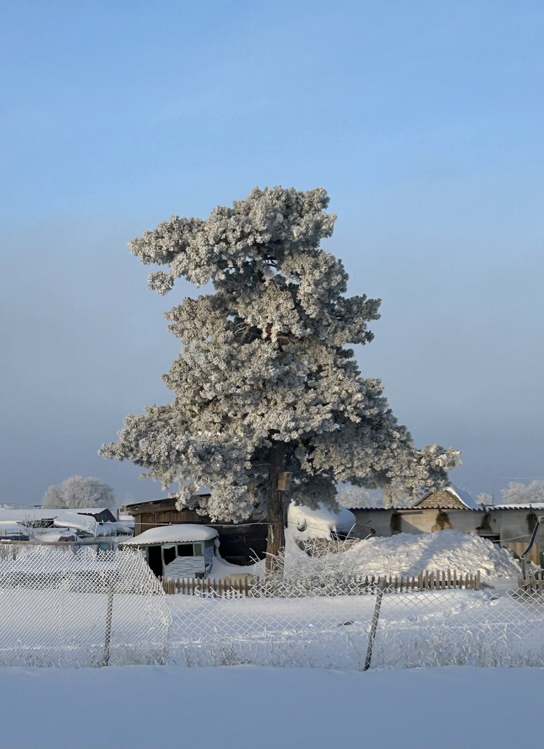 Photo #13830680
