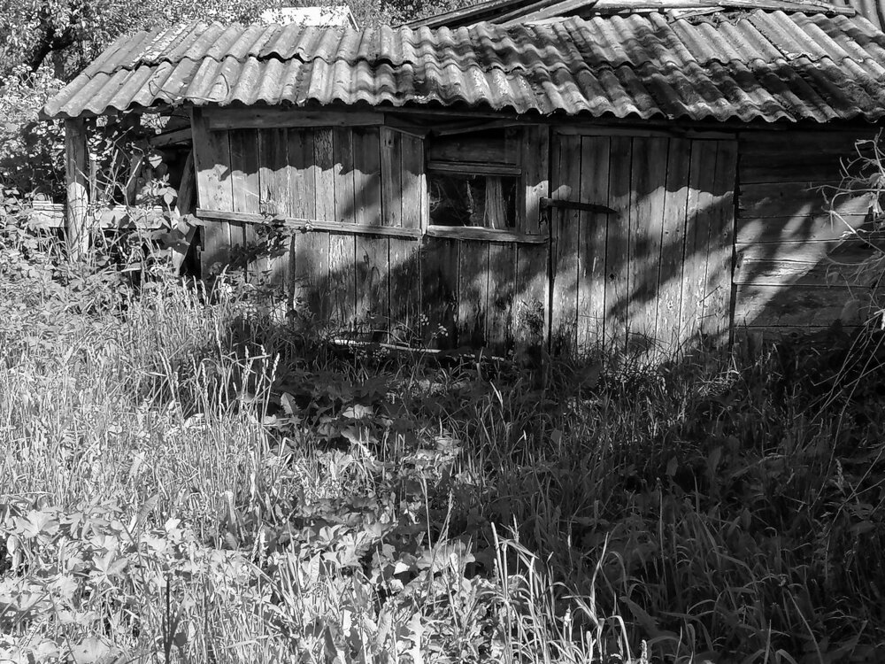 Photograph by Наталья Буталова