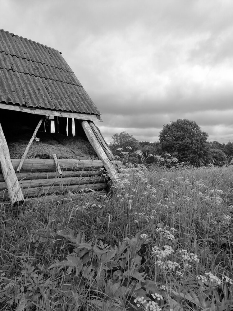 Photograph by Наталья Буталова