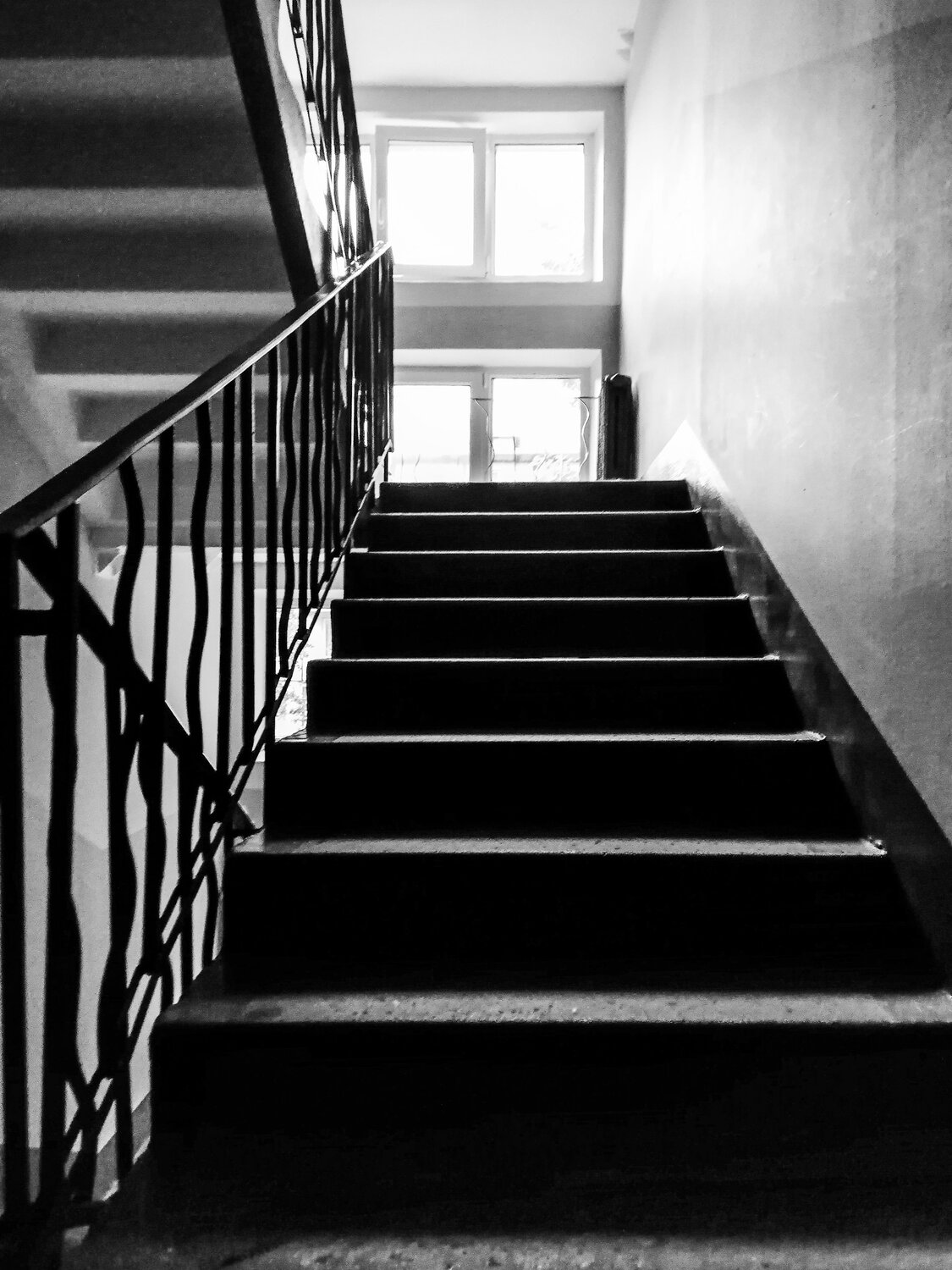 Photo #13830690