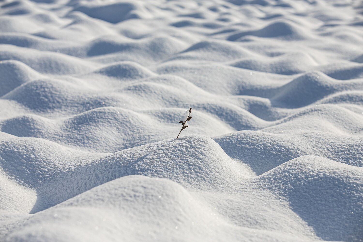 Photo #13830692